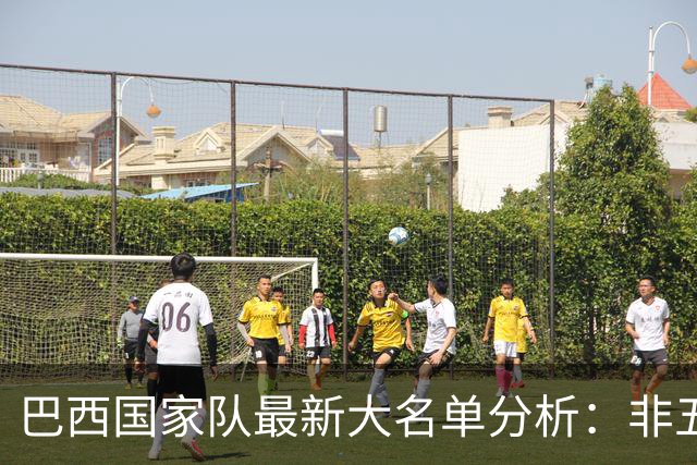 巴西国家队最新大名单分析：非五大联赛球员比例显著上升