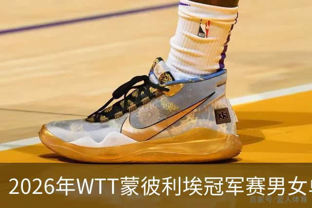 2026年WTT蒙彼利埃冠军赛男女单打四分之一决赛分析